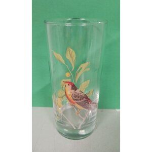 Song Bird Drinking Glass Collectible